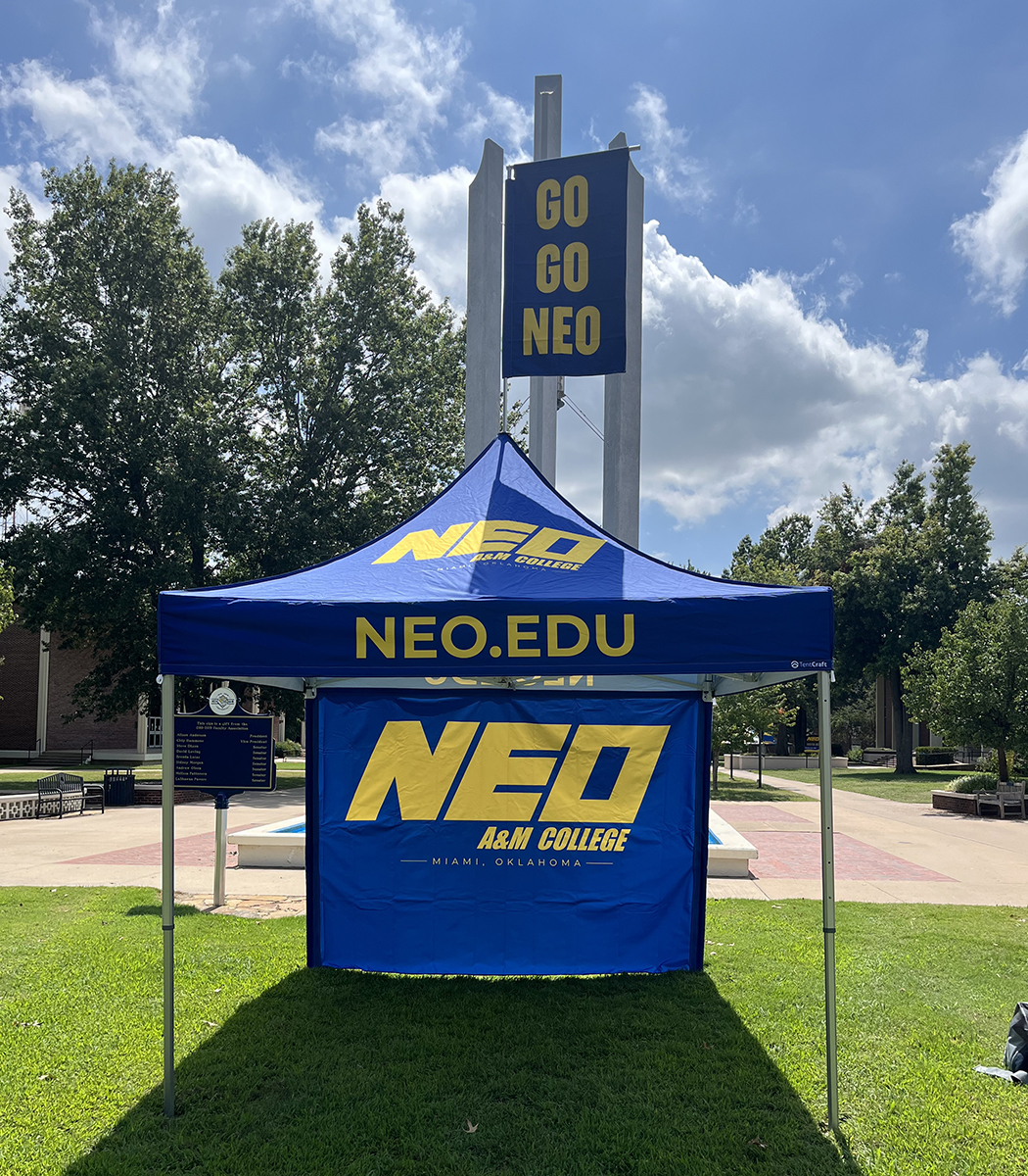 Neo Edu 10x10 mightyTENT