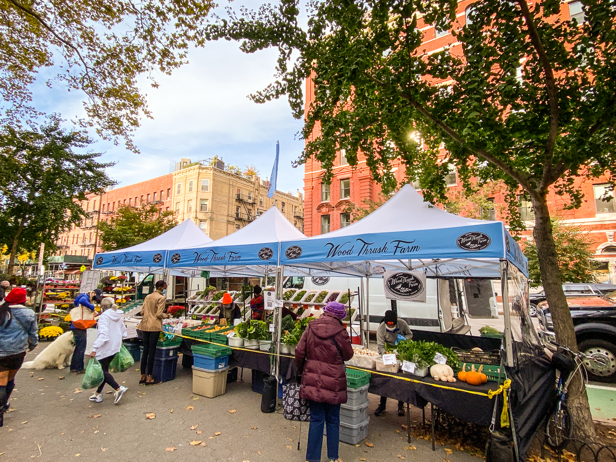 outdoor market tents