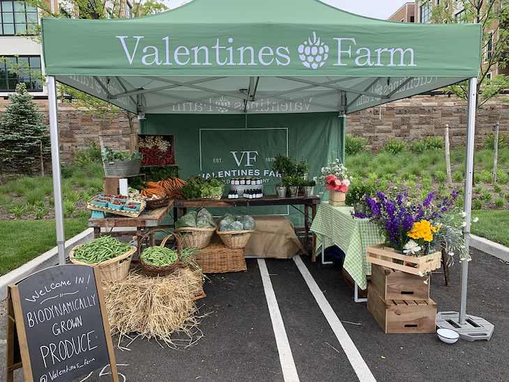 How to set up a farmers market stall to make your products shine 